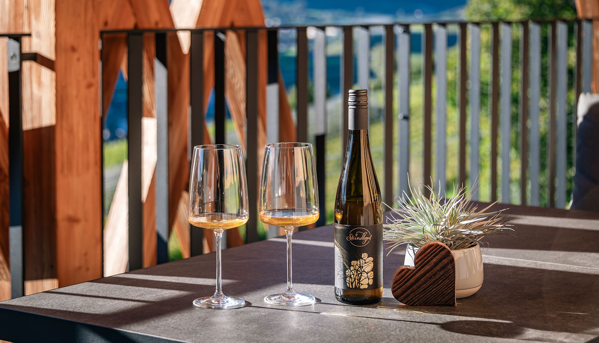 Biodynamisches Weingut Suedtirol 09