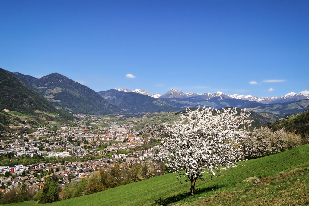 Brixen Fruehling 01