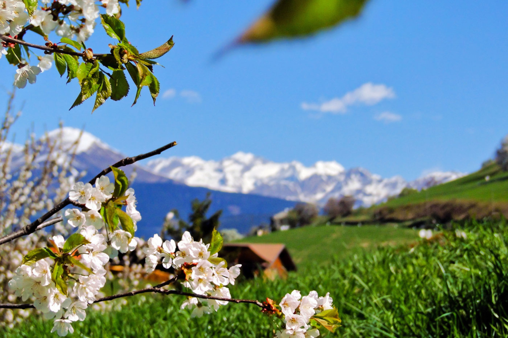 Brixen Fruehling 02