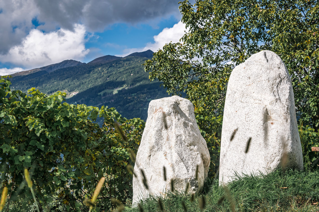 Steindlgut Weinberg